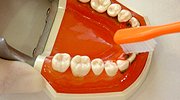 STEP 5