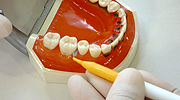 STEP 2
